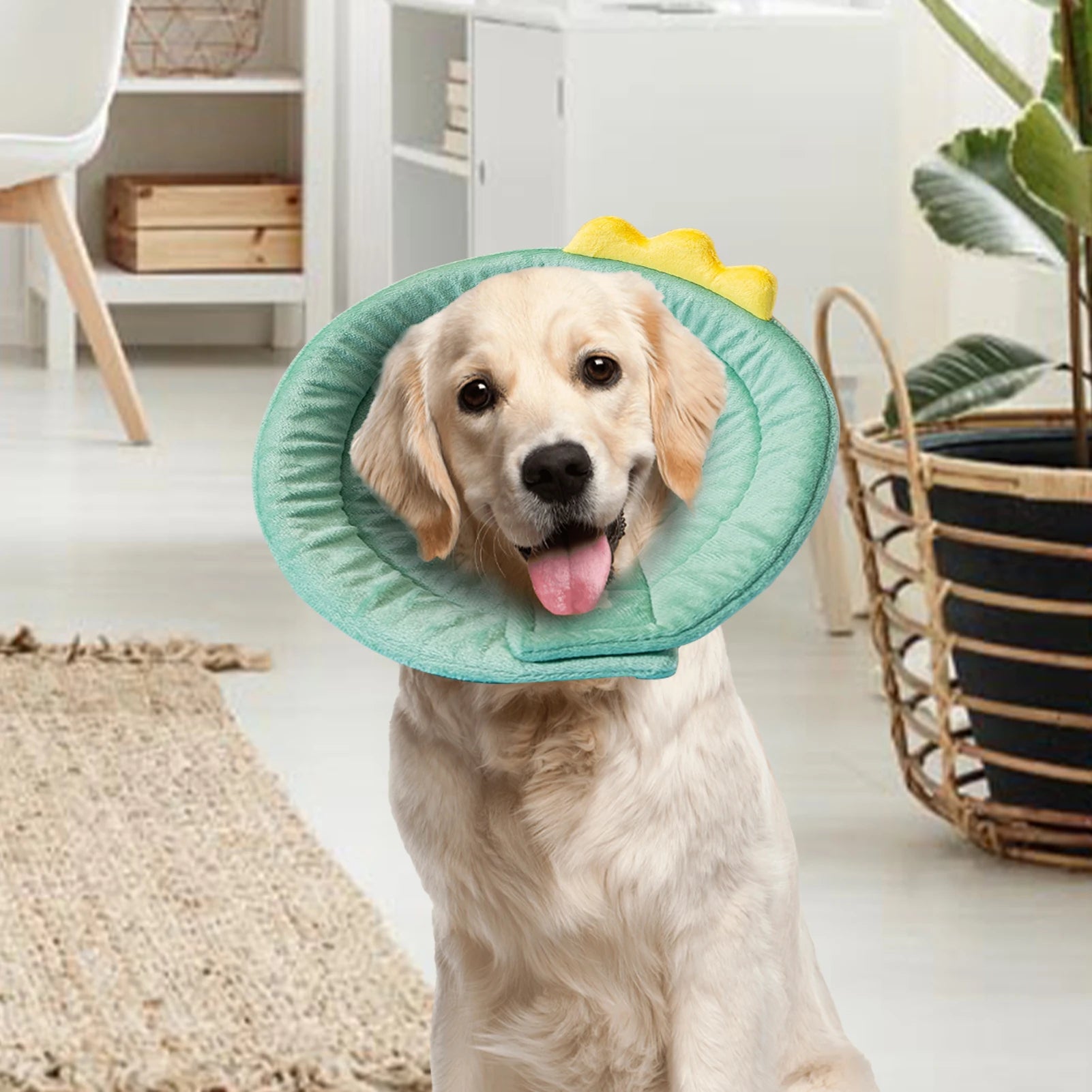 🦖 Dinosaur Cat Recovery Cone – Soft Adjustable Protective Collar
