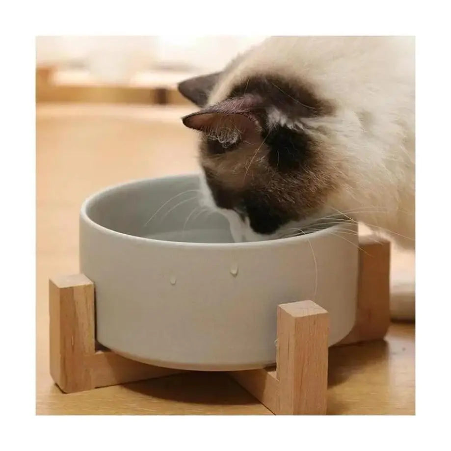 🐾 Ceramic Pet Bowl with Wooden Rack – Large Capacity