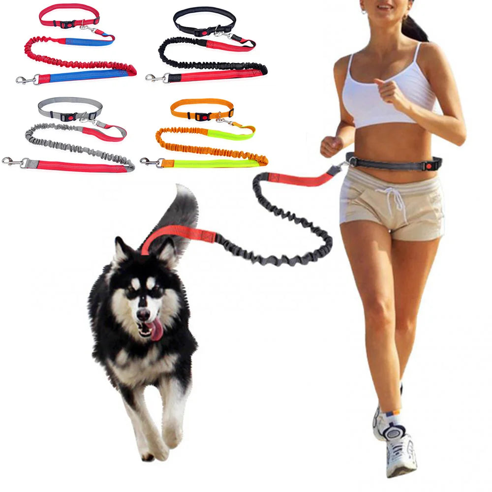 Durable Elastic Nylon Dog Leash for Running & Walking – Comfortable Shock-Absorbing Pet Leash