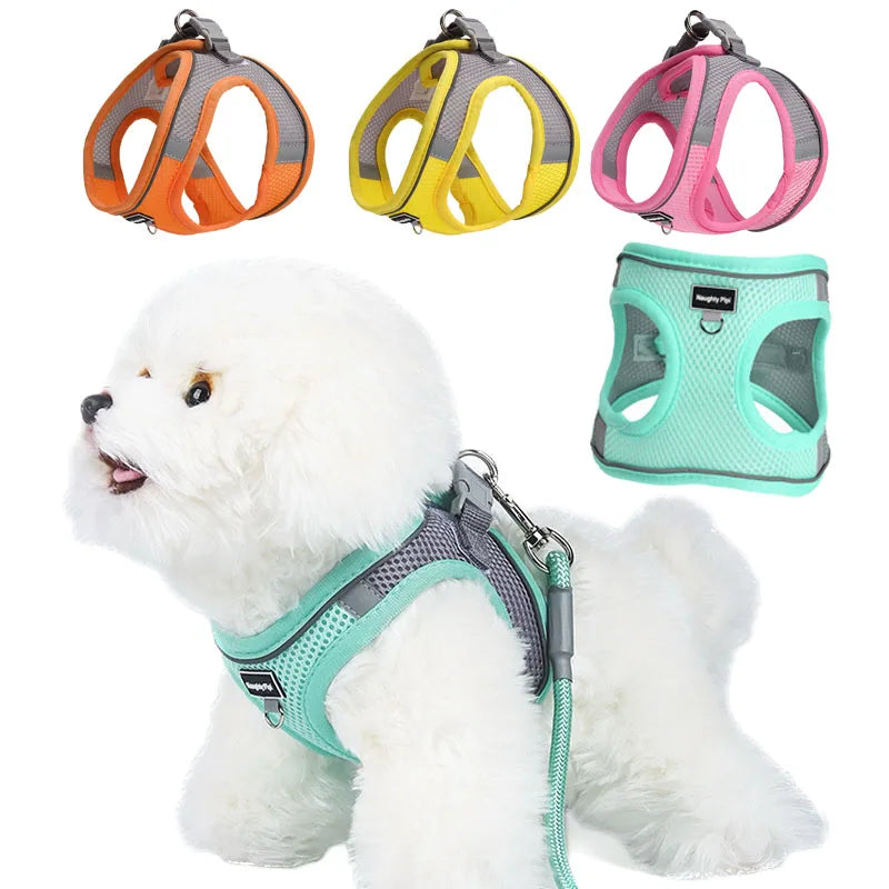 🐶🐱 Adjustable Pet Harness for Small Dogs & Cats