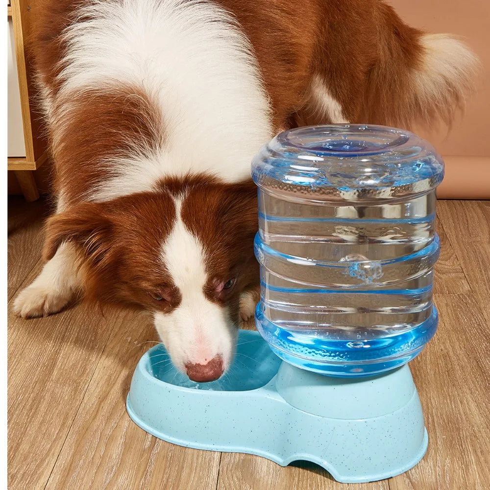 🐾 Automatic Dog & Cat Water Feeder – 1 Gallon (3.8L) Gravity Dispenser