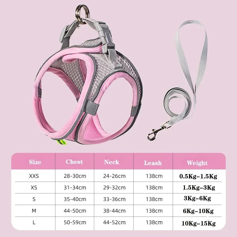 🐶 Dog Harness & Leash Set for Small Dogs