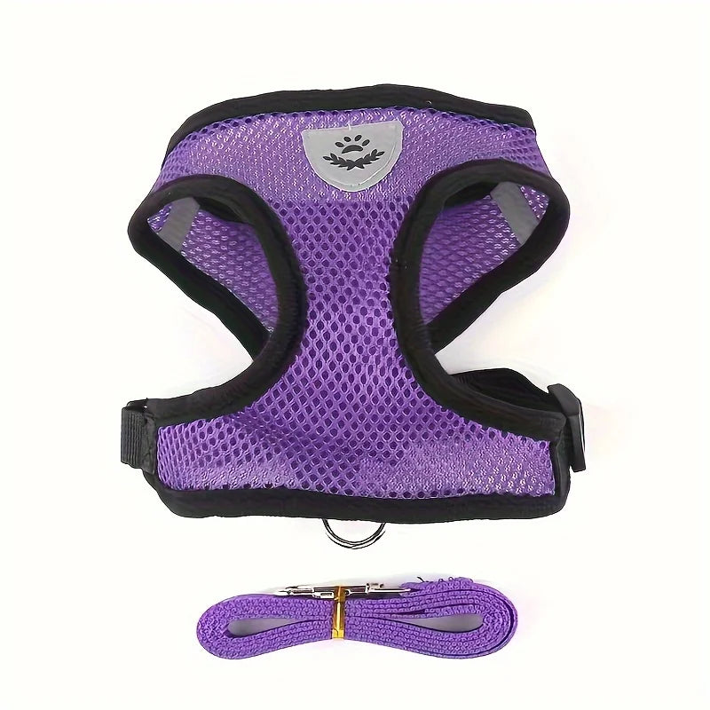 🐱 Adjustable Cat Harness with Leash