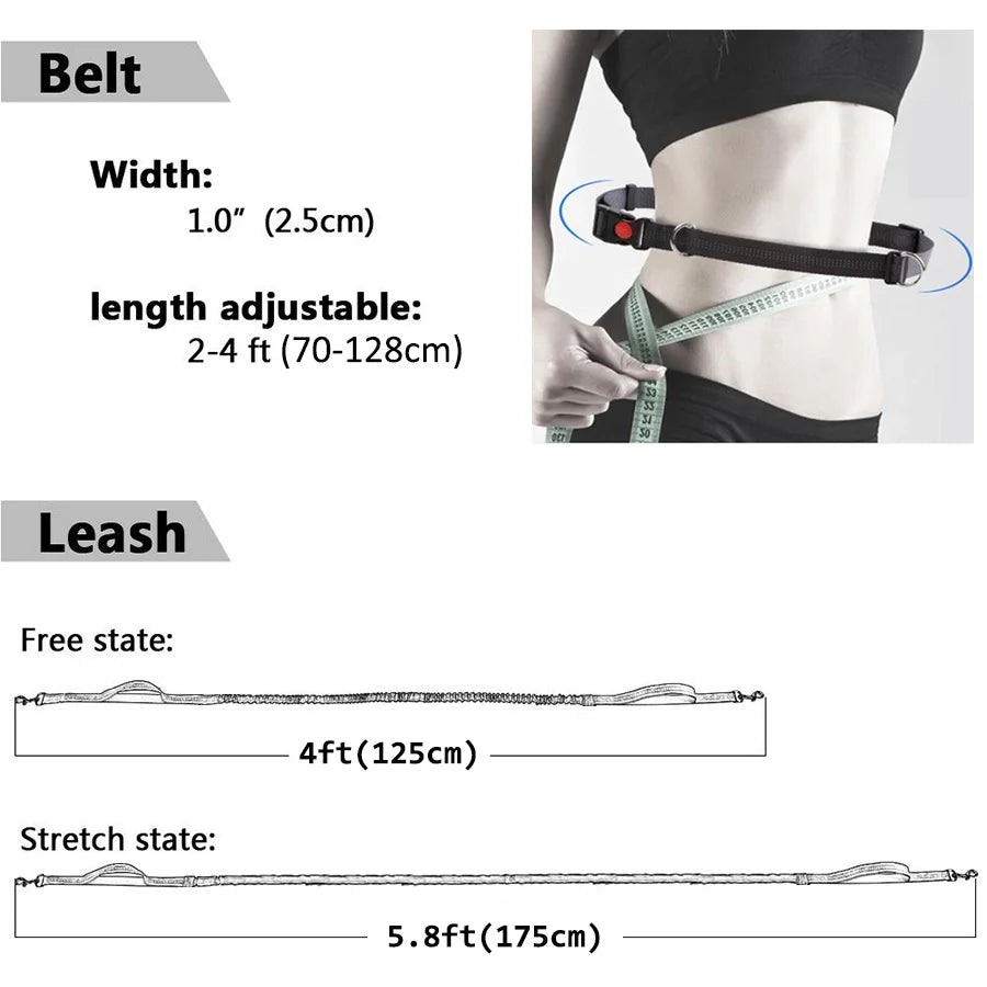 Durable Elastic Nylon Dog Leash for Running & Walking – Comfortable Shock-Absorbing Pet Leash