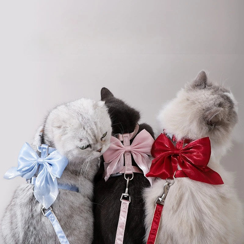 🎀 Adjustable Pet Harness with Leash