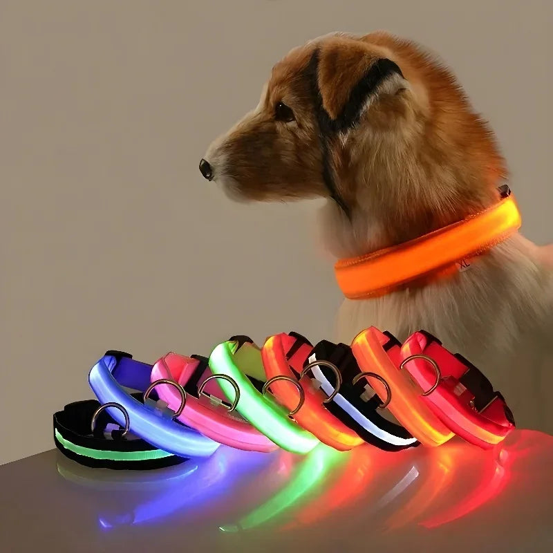 🌟🐶 LED Világító Kutyanyakörv – Biztonságos Éjszakai Séta • USB Tölthető • Több Szín & Méret 🌟🐶