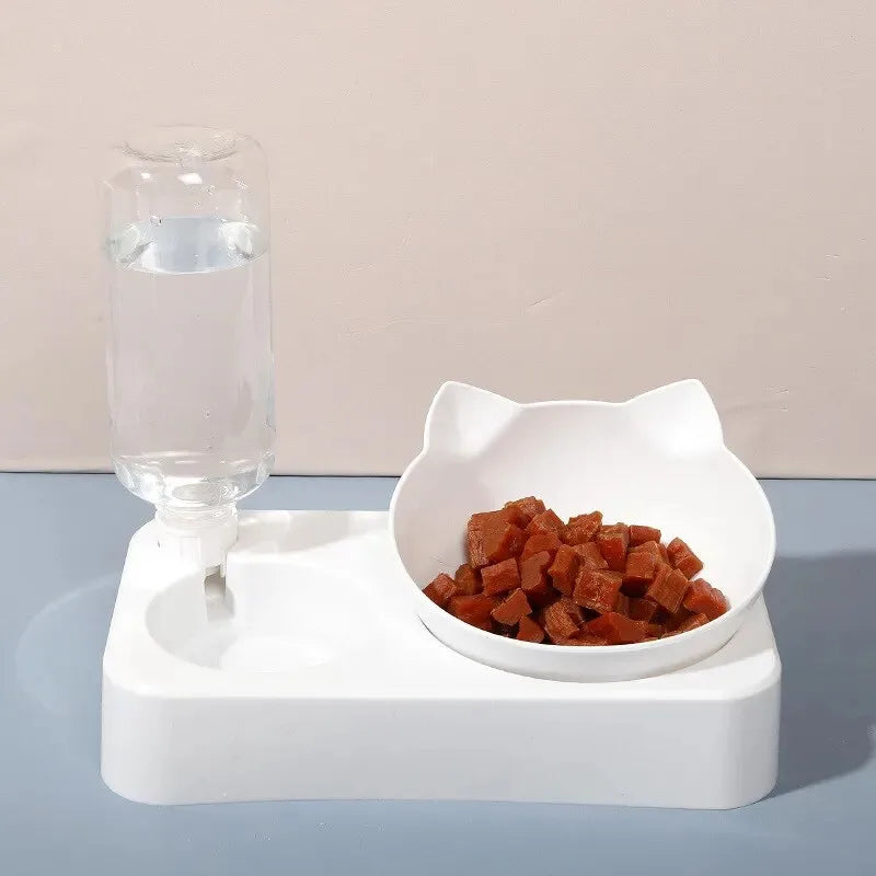 🥣 15° Tilted Pet Bowl with Automatic Water Dispenser