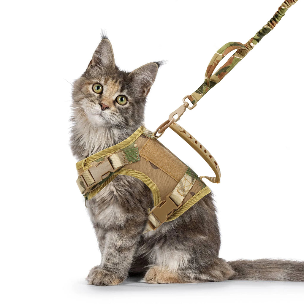 🐾 Tactical Cat Harness and Leash Set