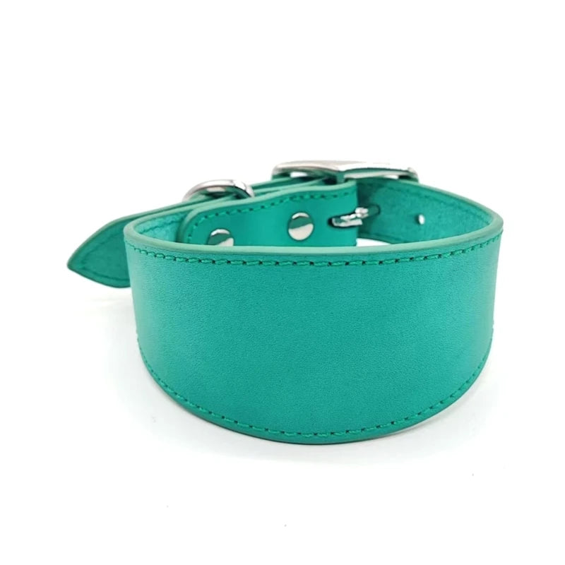 🐾 Wide Padded Genuine Leather Dog Collar