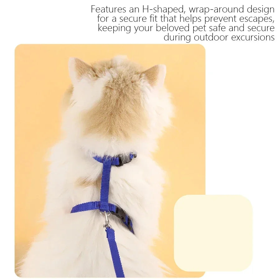 🐱 H-Style Cat Harness with Leash