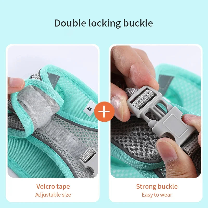 Adjustable Dog Harness & Leash Set – Soft Vest Harness for Small Dogs and Cats