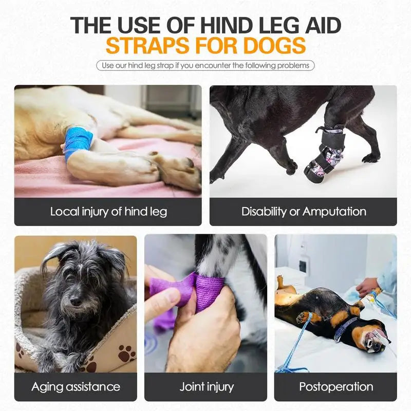 🐕‍🦺 Adjustable Dog Lift Harness – Comfortable Support for Back Legs