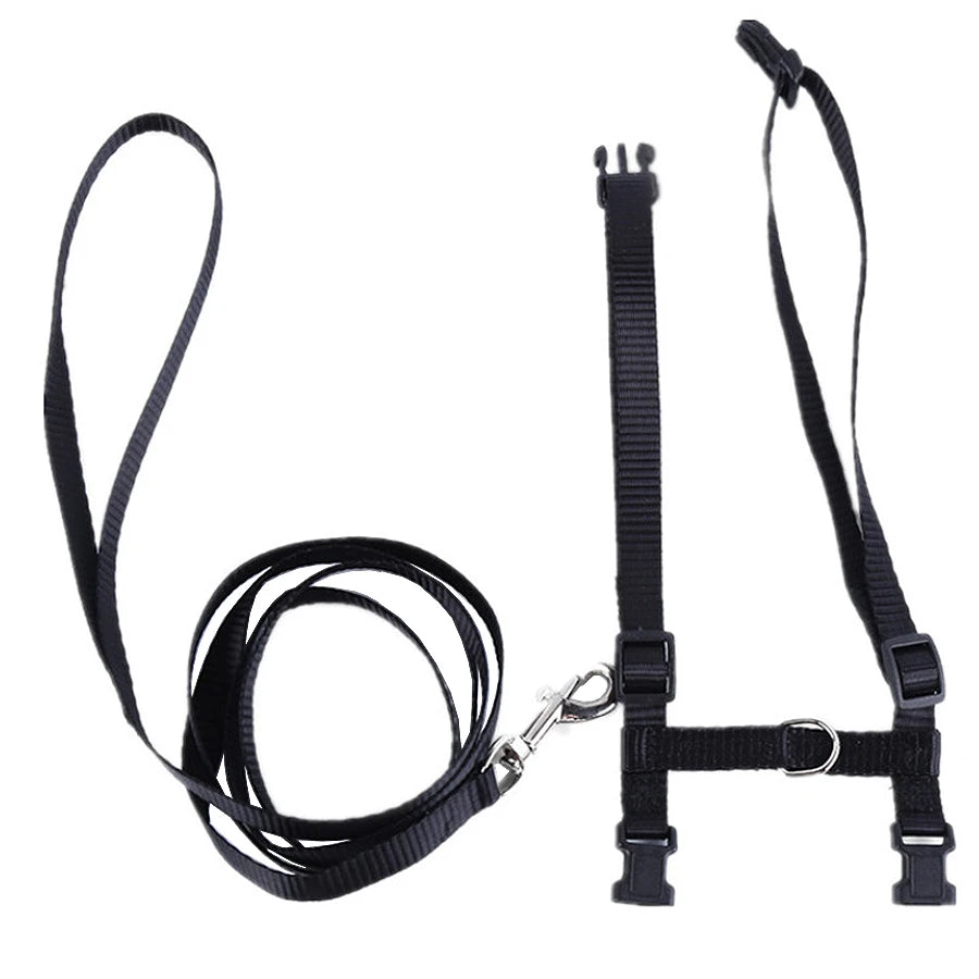 🐱 H-Style Cat Harness with Leash