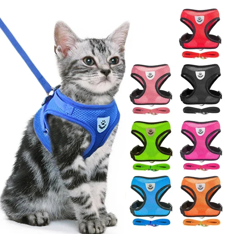 🐱 Walking Cat Harness Vest & Leash Set
