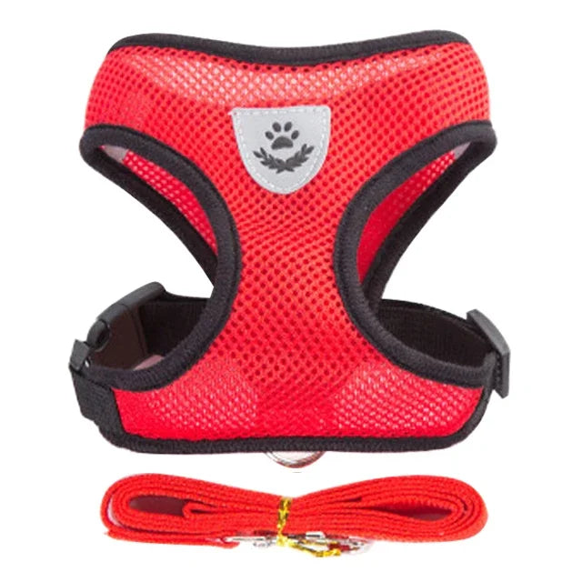 🐱 Walking Cat Harness Vest & Leash Set