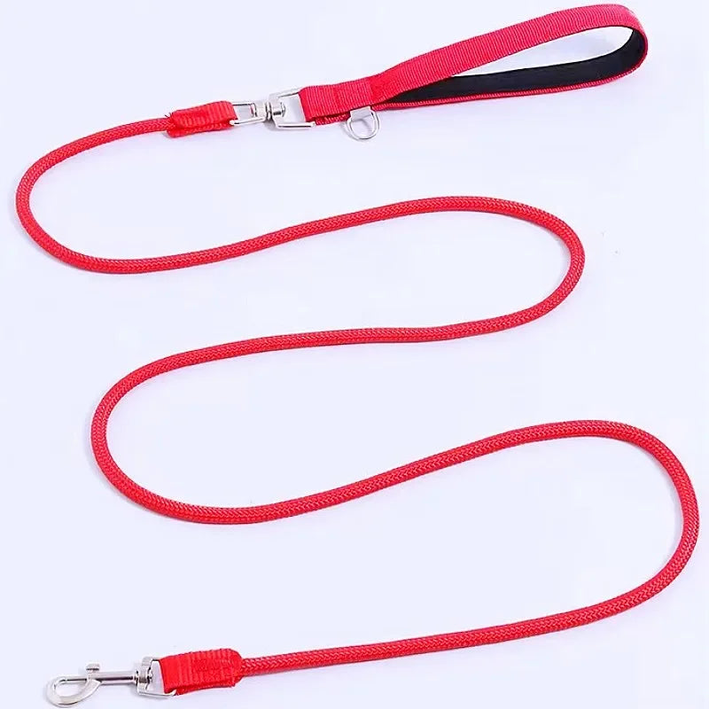 Colorful Nylon Dog Leash – Comfortable & Durable Leash for Daily Walks