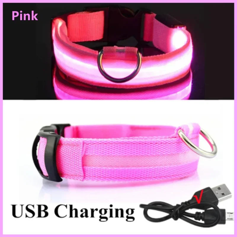 🐕 LED Light-Up Dog Collar