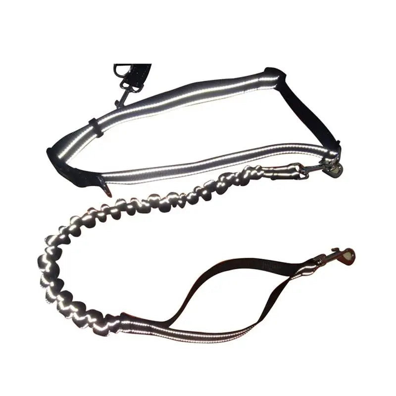 Hands-Free Dog Running Leash with Waist Belt – Adjustable Nylon Leash for Walking, Running & Hiking