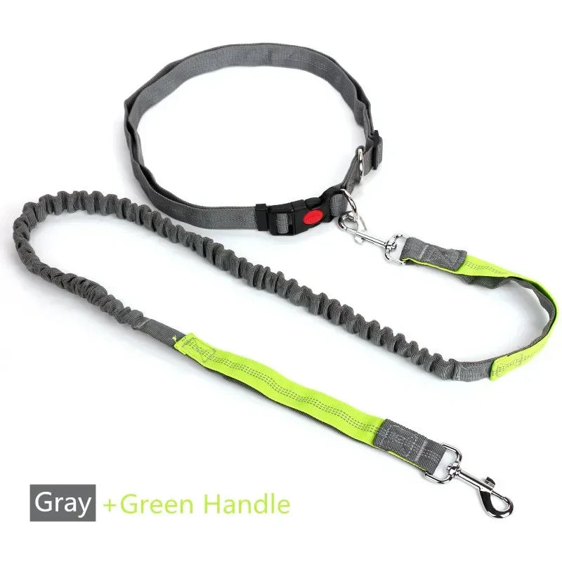 Hands-Free Retractable Dog Leash with Adjustable Waist Belt – Reflective Nylon Lead for Running, Jogging & Cycling