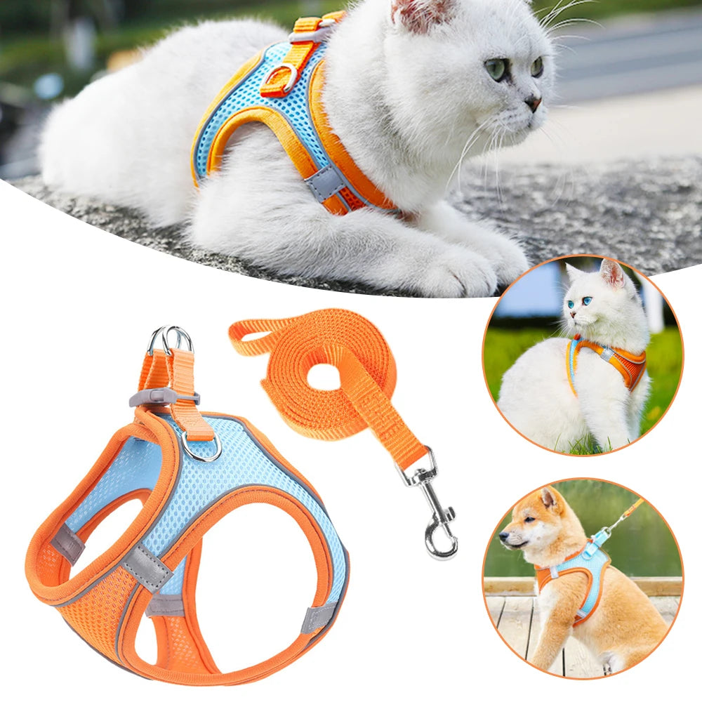 🐾 Reflective Breathable Pet Harness & Leash Set