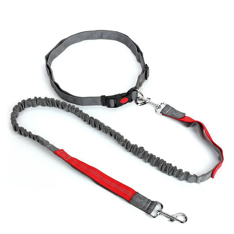 Durable Elastic Nylon Dog Leash for Running & Walking – Comfortable Shock-Absorbing Pet Leash