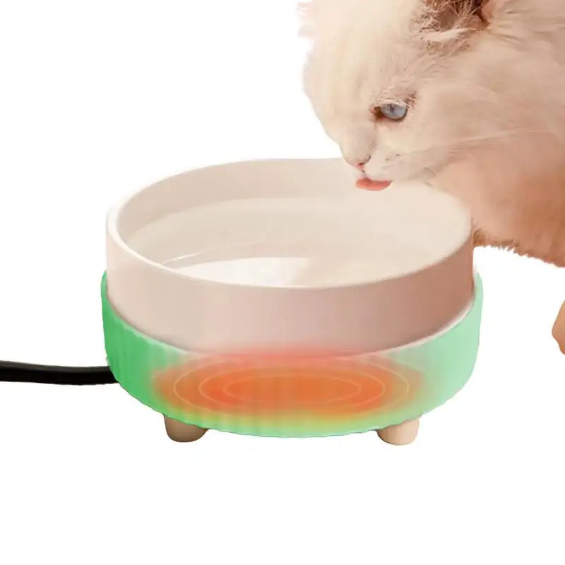 🐶 Dogs and Cats Heated Water Bowl