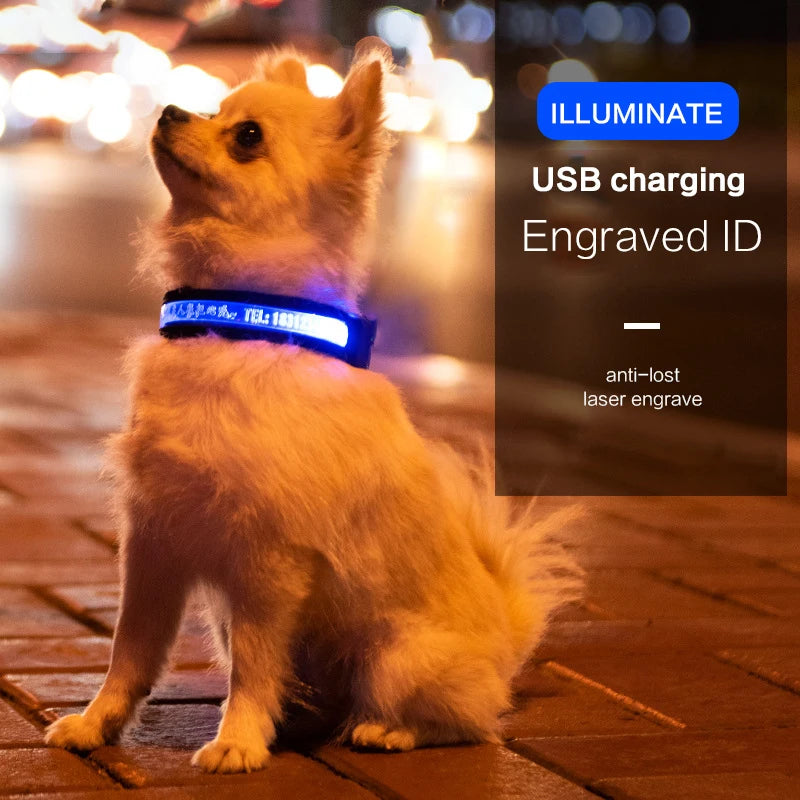 🐕 Personalized LED Dog Collar – Name & Phone Engraved