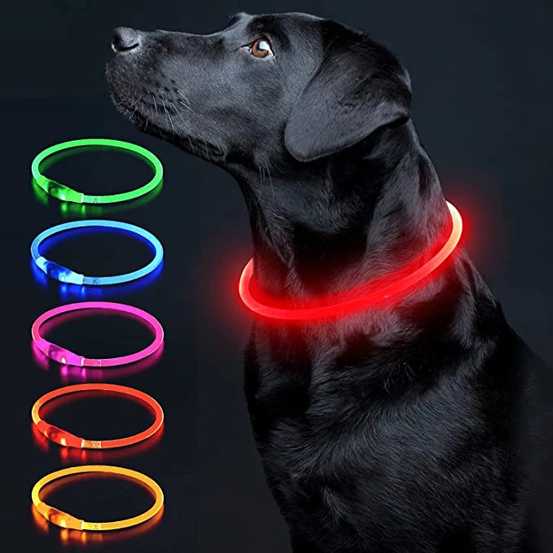 💡 USB Charging LED Luminous Dog Collar