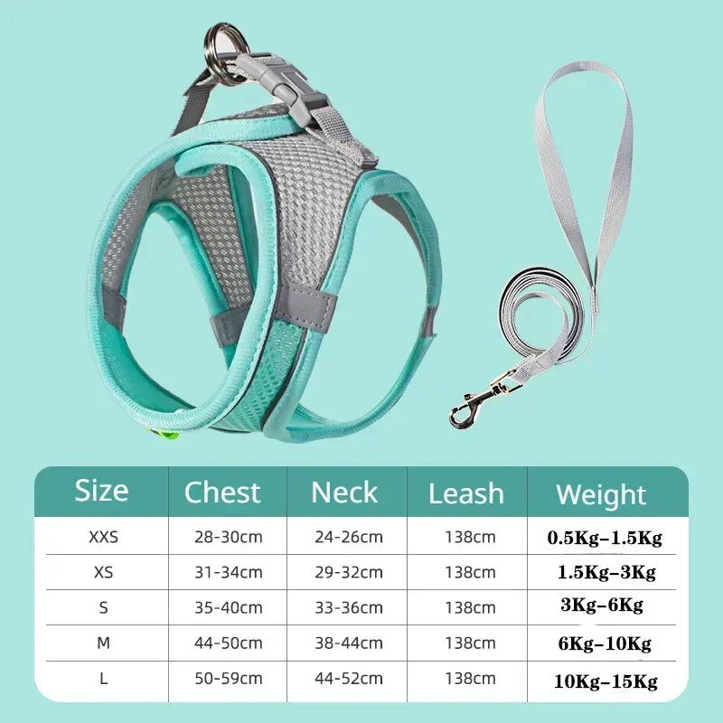 🐶 Dog Harness & Leash Set for Small Dogs