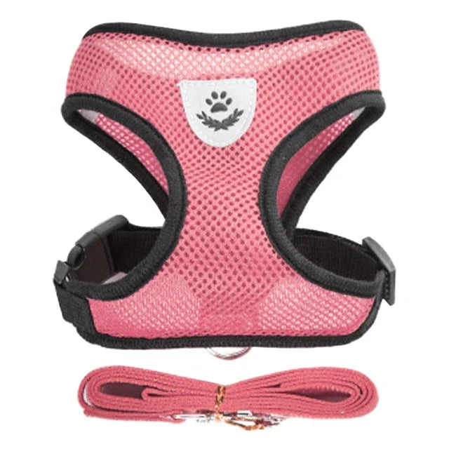 🐱 Walking Cat Harness Vest & Leash Set