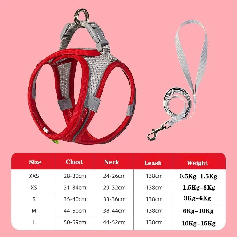🐶 Dog Harness & Leash Set for Small Dogs