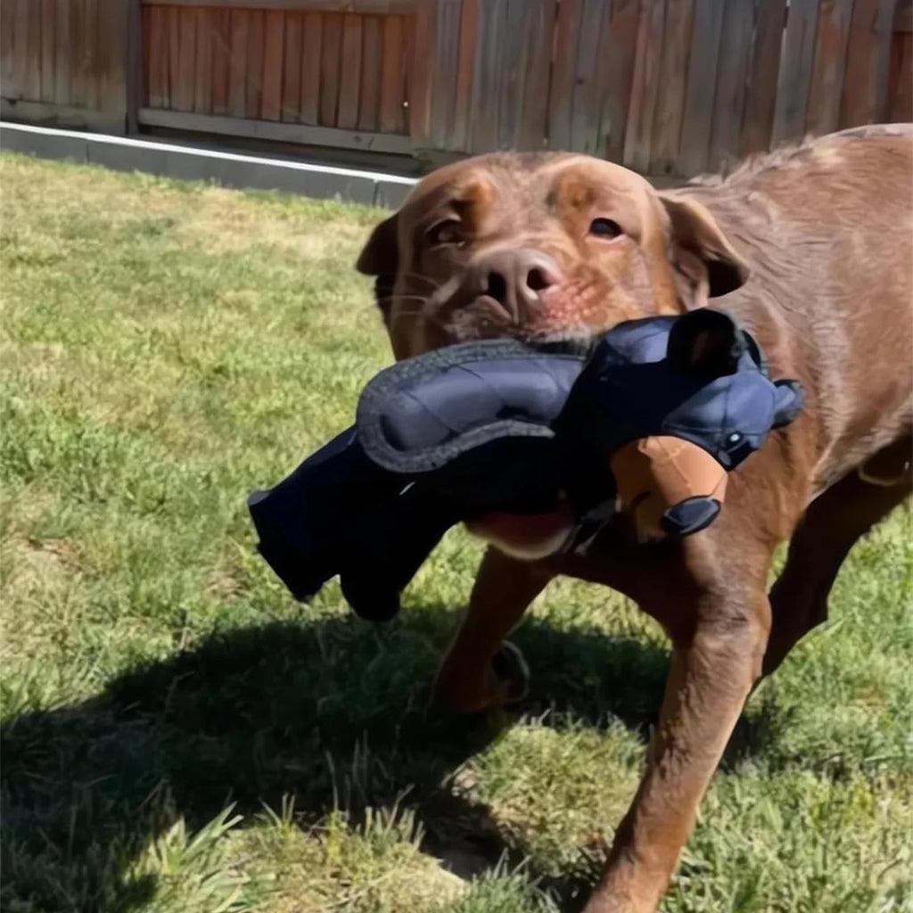 🧸 Mighty Bear Dog Toy