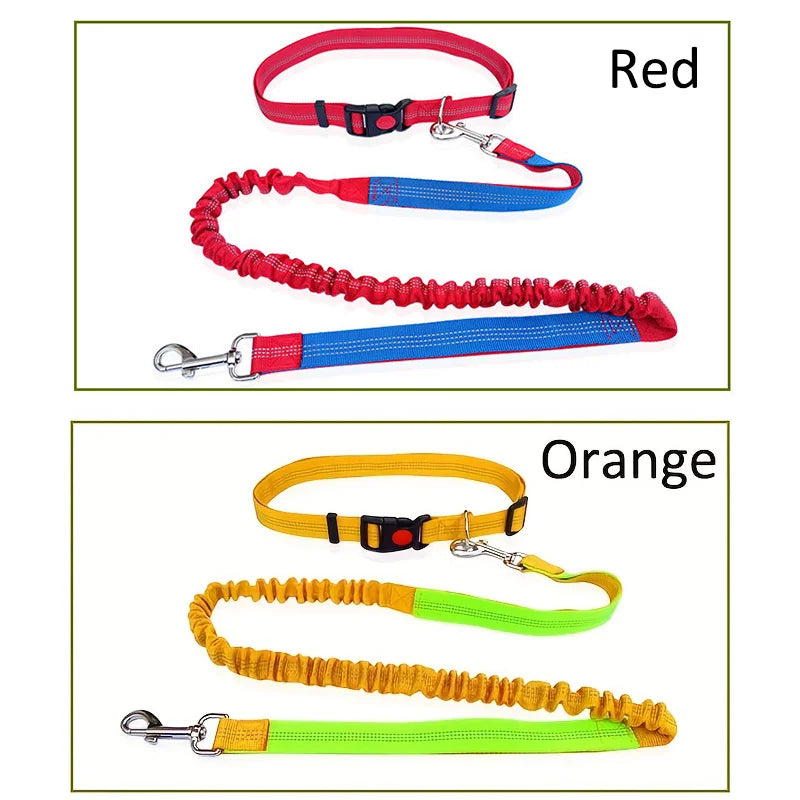 Durable Elastic Nylon Dog Leash for Running & Walking – Comfortable Shock-Absorbing Pet Leash