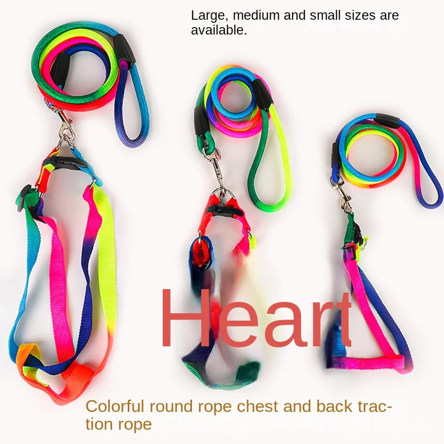 🌈 Colorful Rainbow Pet Harness & Leash Set