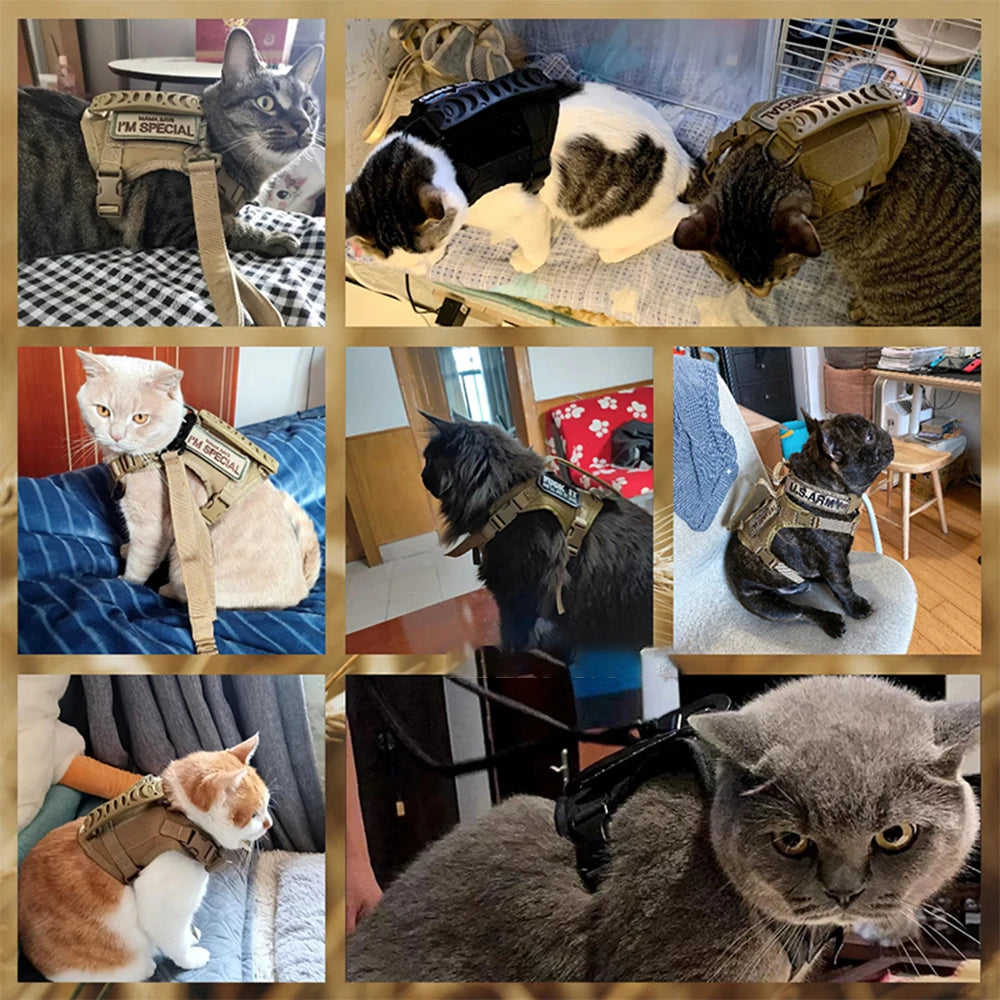 🐾 Tactical Cat Harness and Leash Set