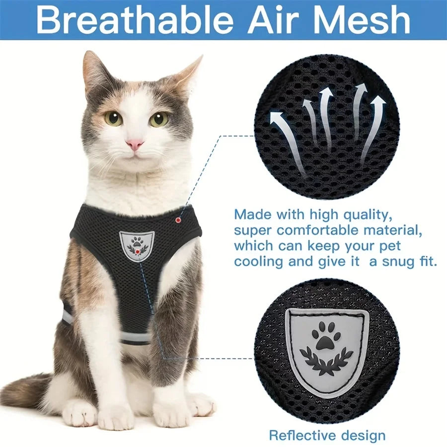 🐱 Adjustable Cat Harness with Leash