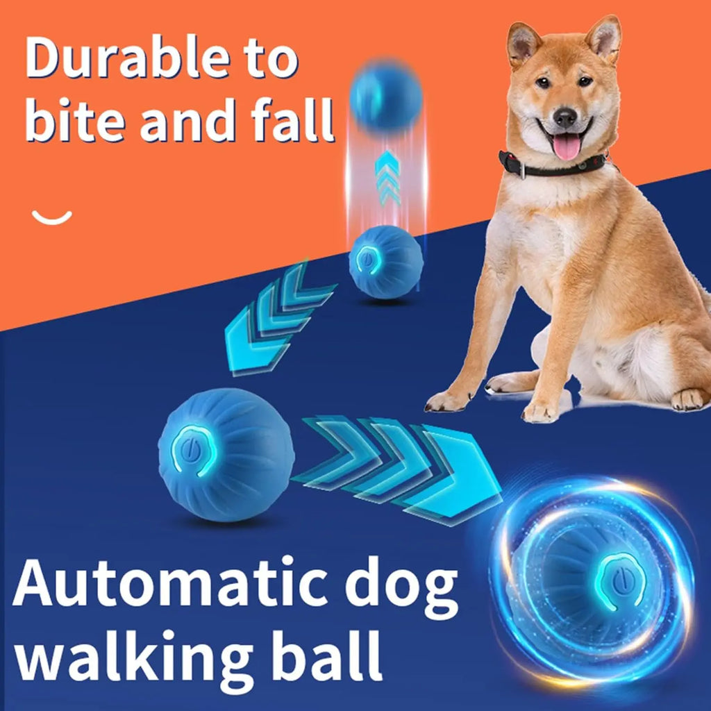 🔵 Automatic Bouncing & Vibrating Dog Ball