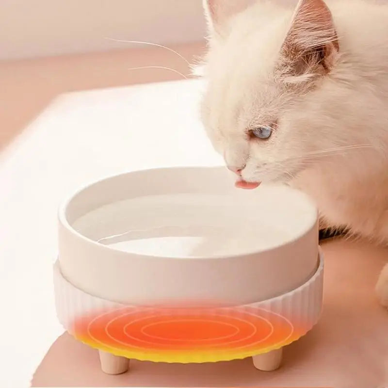 🐶 Dogs and Cats Heated Water Bowl