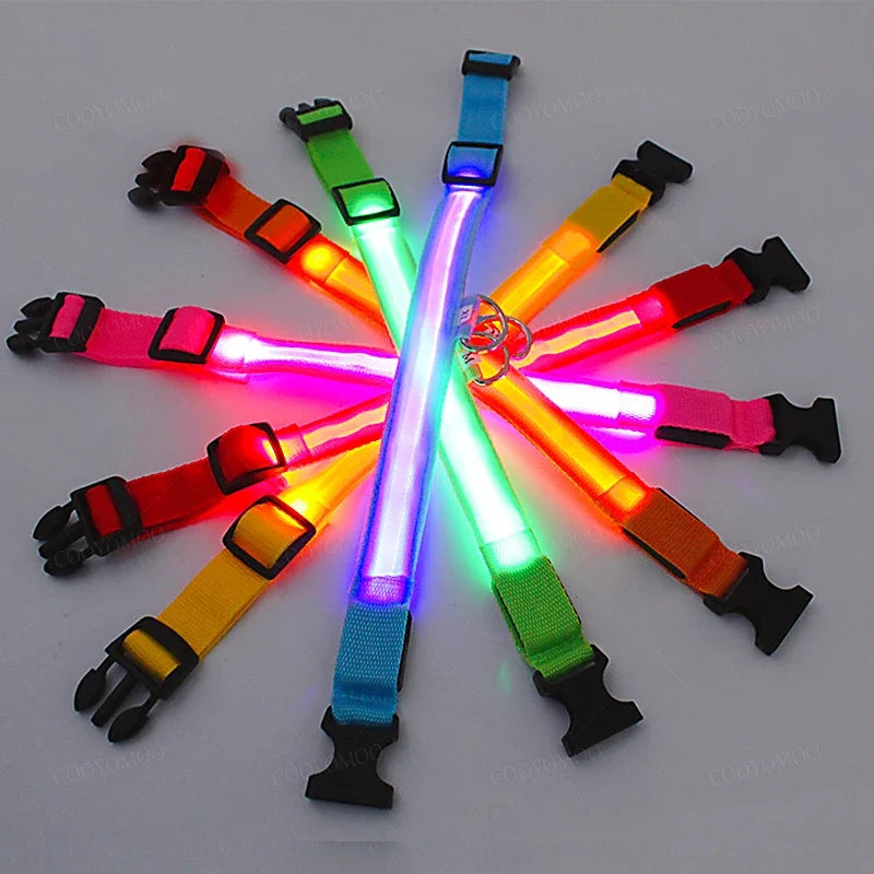 🐕 LED Light-Up Dog Collar