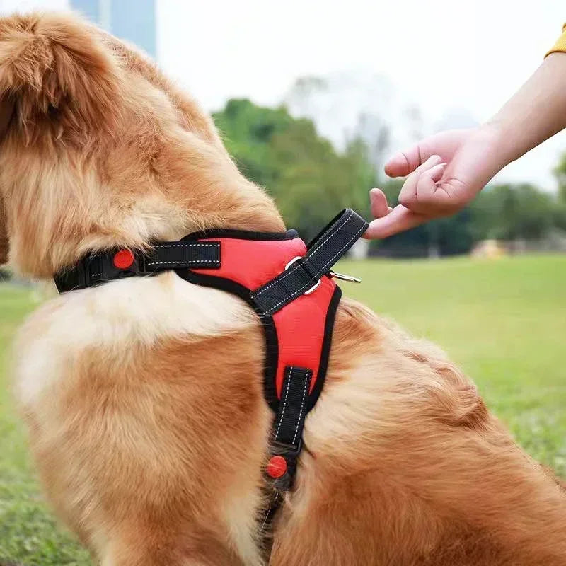 🐕 Dog Harness and Leash Set – No Pull Adjustable with Easy Control Handle