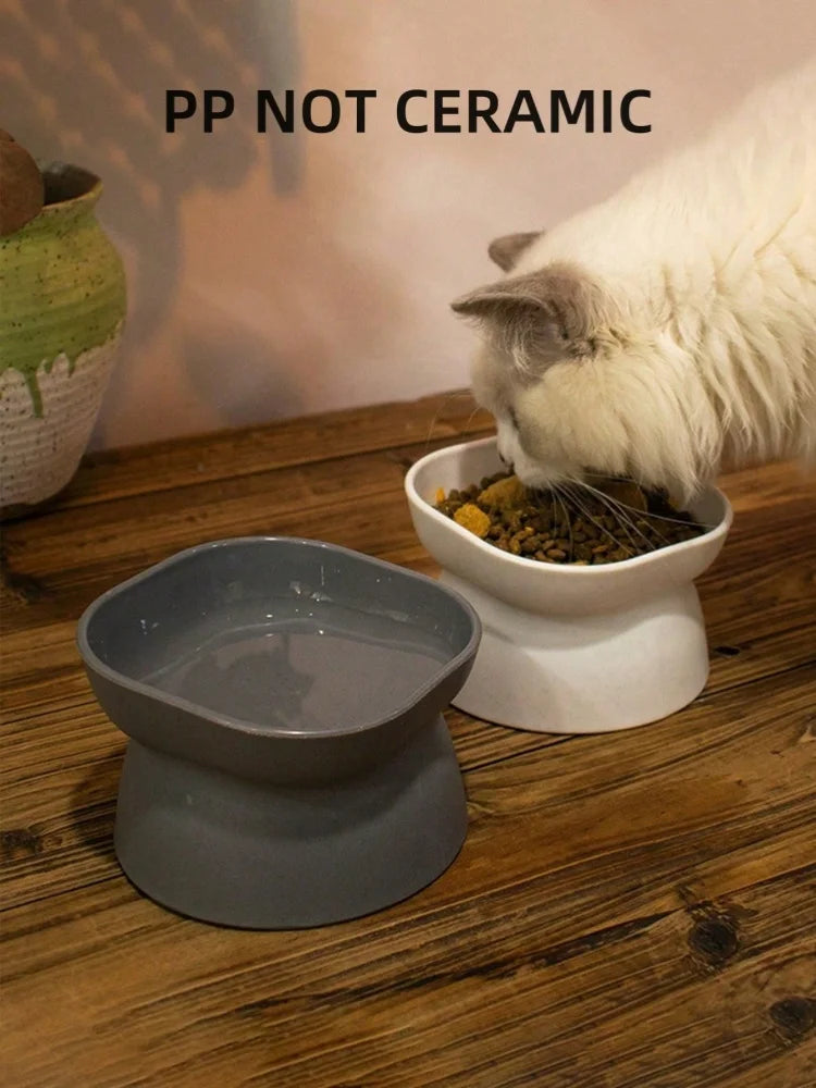 🐾 Pet Food & Water Bowl for Cats and Small Dogs
