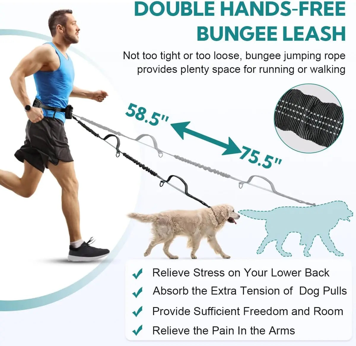 Hands Free Dog Leash with Pouch – Double Leash for Two Dogs with Retractable Bungee