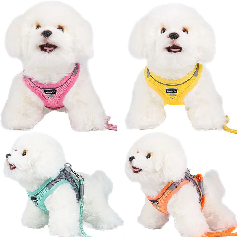 🐶🐱 Adjustable Pet Harness for Small Dogs & Cats
