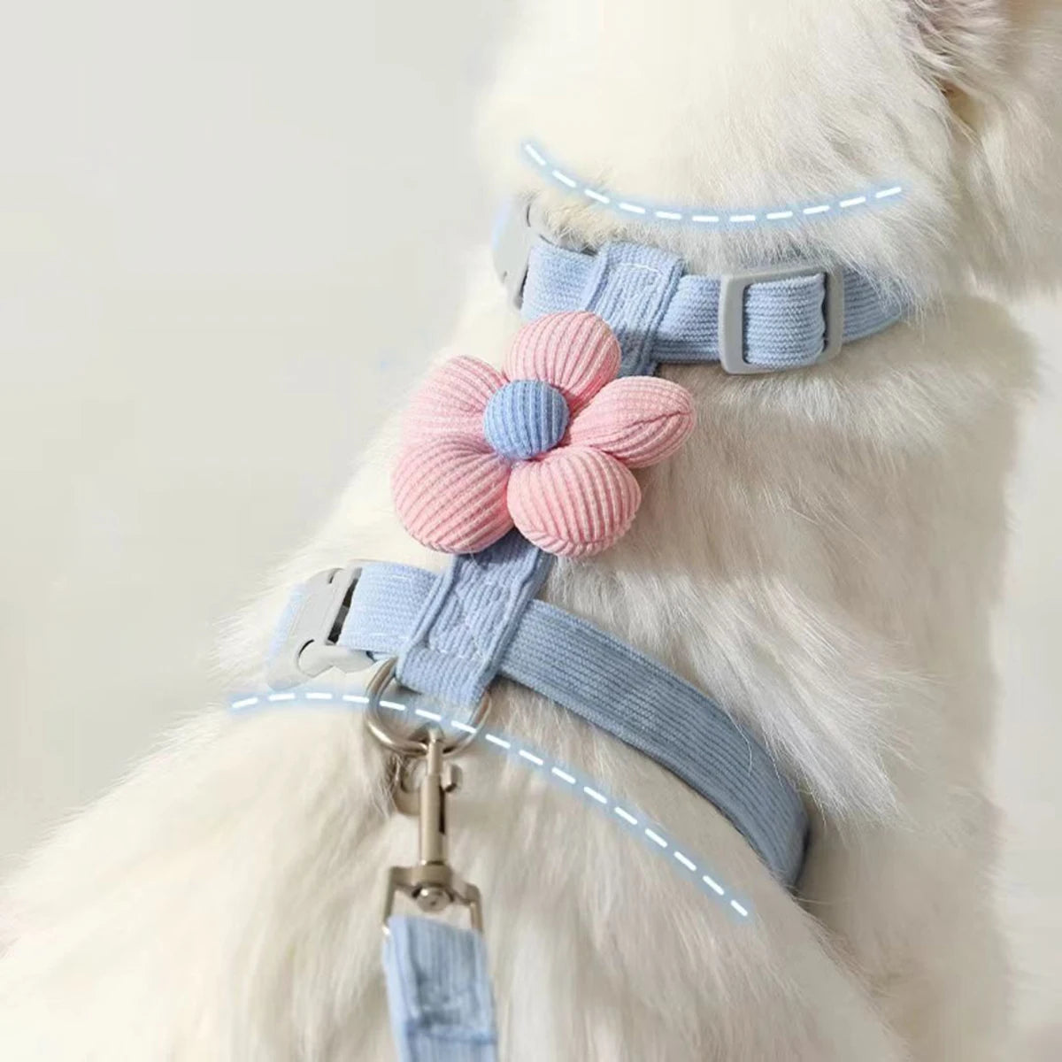🐱 Adjustable Cat Harness & Leash Set