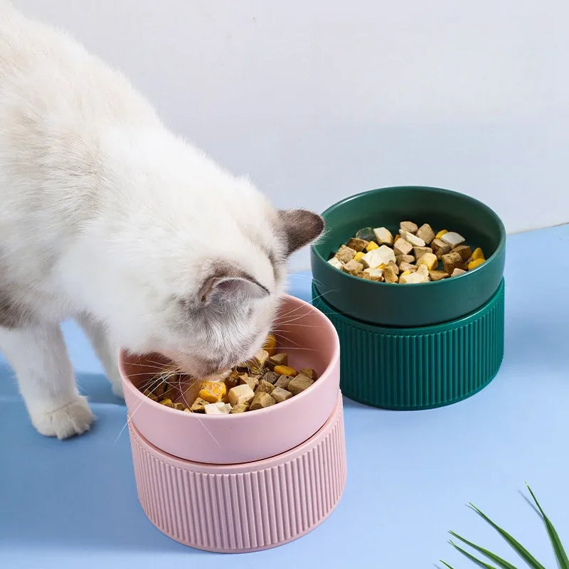 🍽️ Ceramic Elevated Pet Bowl