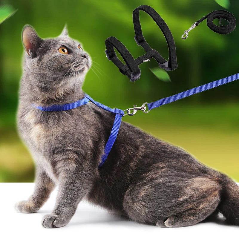 🐱 Adjustable Cat Harness & Leash Set – Safe Breakaway Nylon Design