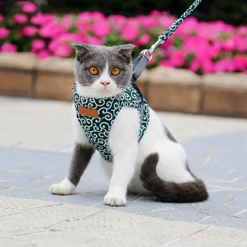 🐱 Escape-Proof Cat Vest Harness & Leash Set