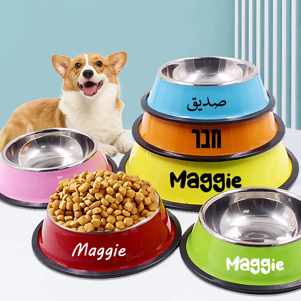 🐶🐱 Custom Stainless Steel Pet Bowl – Personalized Name Design