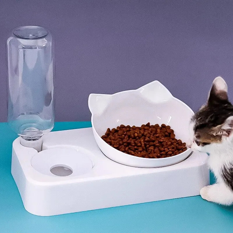 🥣 15° Tilted Pet Bowl with Automatic Water Dispenser