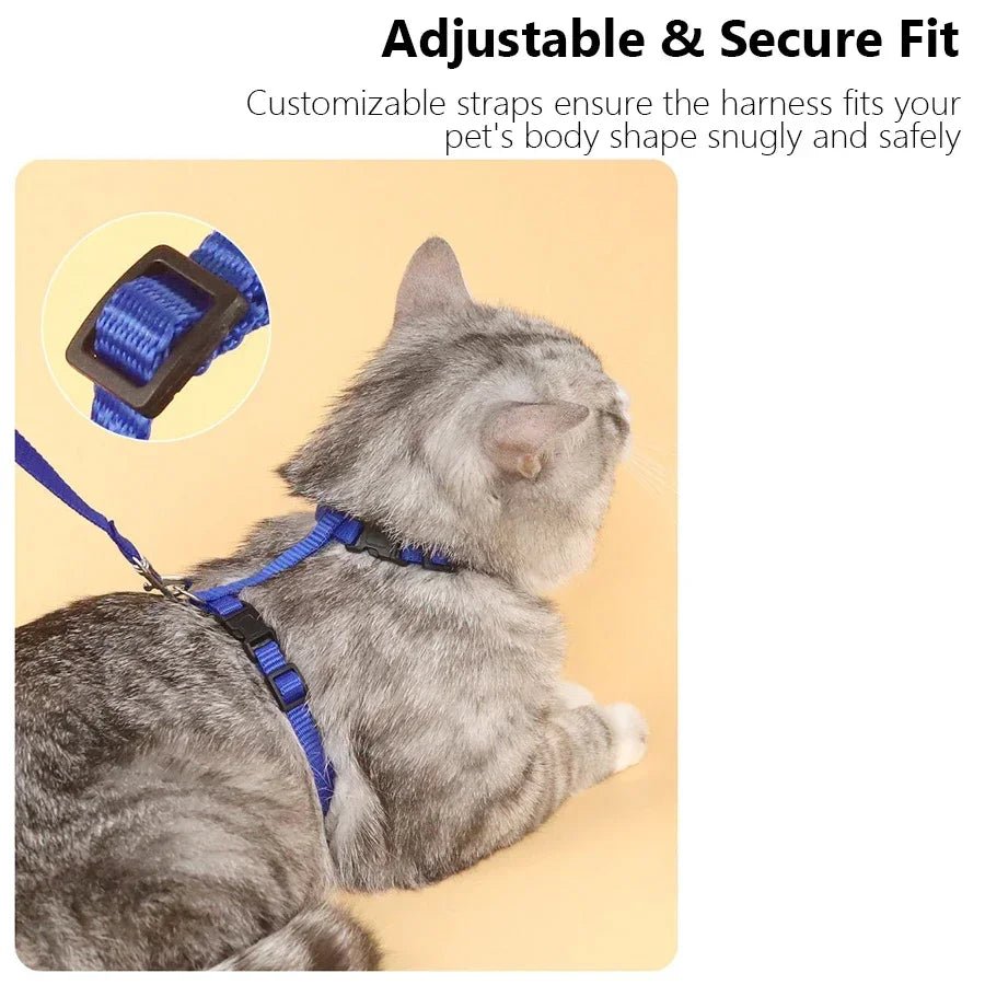 🐱 H-Style Cat Harness with Leash